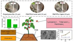 腐殖酸生物降解地膜可有效减少农田白色污染