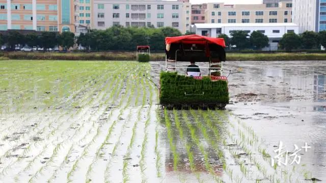 农业媒体报道_农业报道媒体的特点_农业报道媒体怎么写