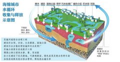 - 科技承载梦想- 创新改变未来- 海绵城市- 中国科