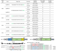 作物有害生物功能基因组研究创新团队建立新型