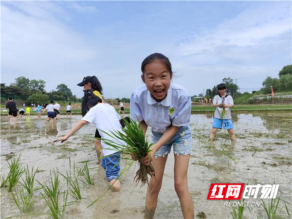 科普农业活动有哪些_农业科普活动_关于农业科普知识的活动