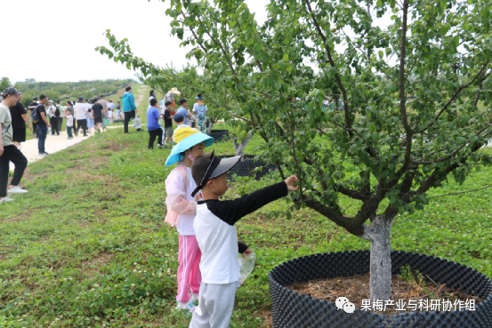 科普农业活动主题_农业科普活动_农业科普展示内容