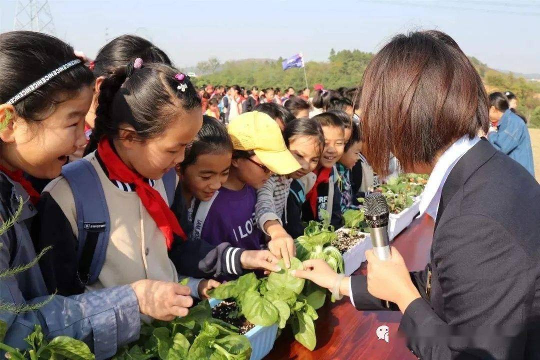 科普农业活动有哪些_关于农业科普知识的活动_农业科普活动