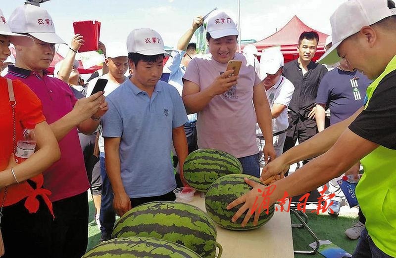 农业研究成果_农业科技成果_农业科研成果