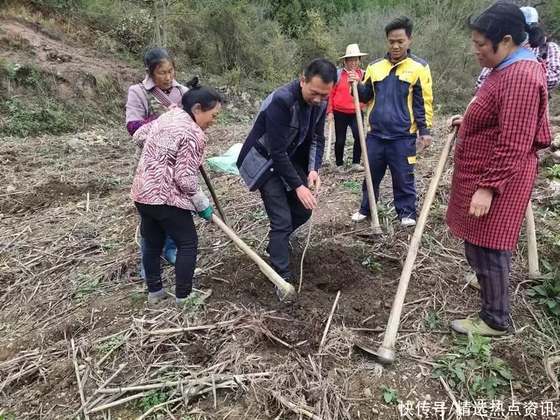 农业科普活动_科普农业活动有哪些_农业科普展示内容