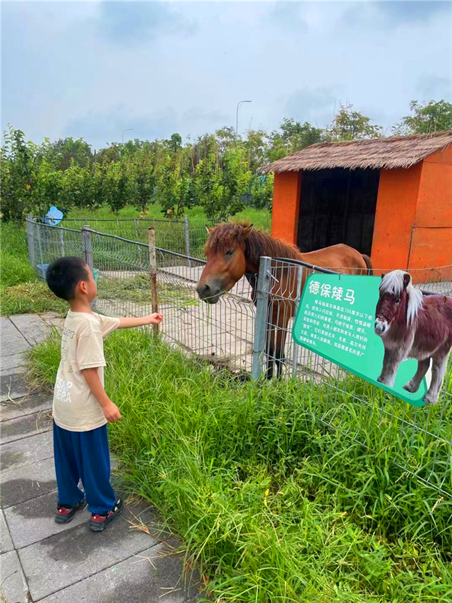 科普农业活动主题_农业科普活动_关于农业科普知识的活动