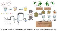 植保所研制的新型智能响应农药制剂有效实现农