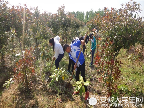 农业科普展示内容_科普农业活动有哪些_农业科普活动