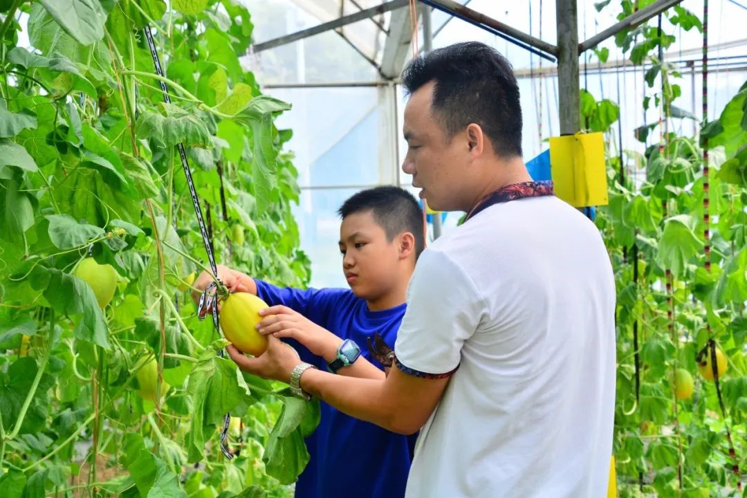 科普农业活动主题_农业科普展示内容_农业科普活动