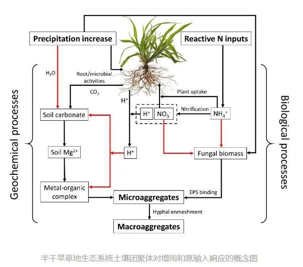 农业科研项目_农业科研成果_农业研究成果