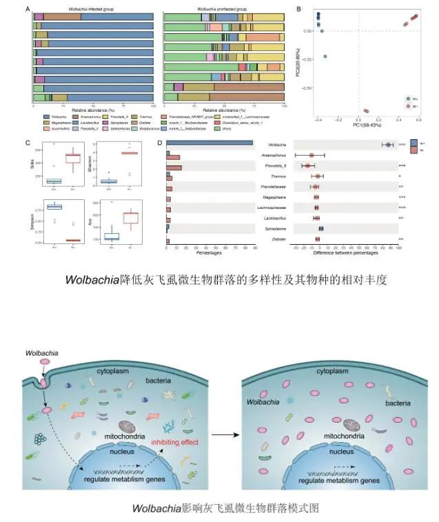 农业研究成果_农业科研项目_农业科研成果