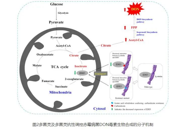 农业科研项目_农业科研成果_农业研究成果