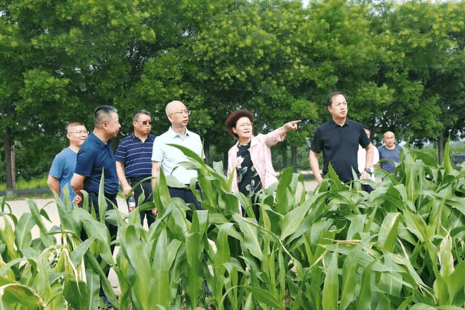 农业科研项目_农业科技研发项目_农业科研项目申报