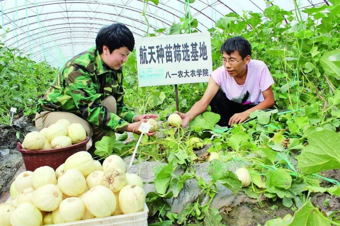 农业科学技术成果_农业科研成果有哪些_农业科研成果