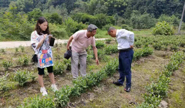 临沂新闻综合频道高铁新闻_新闻综合新闻坊主持人_农业综合新闻