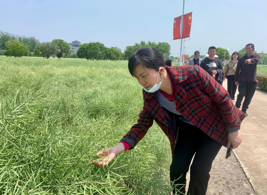 农业科普活动_科普农业活动有哪些_科普农业活动主题