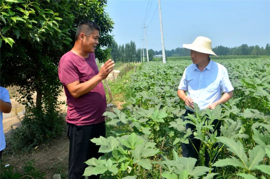 农业科研项目申报_科研农业项目包括哪些_农业科研项目