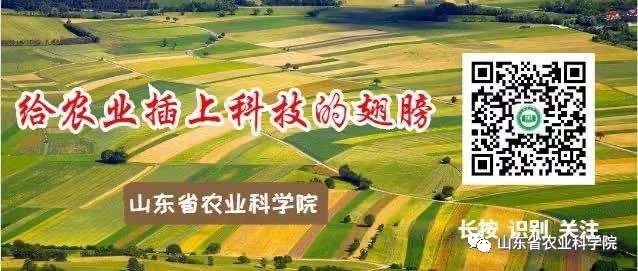 农业科普科研旅游_江苏农业软科学成果_农业科研成果