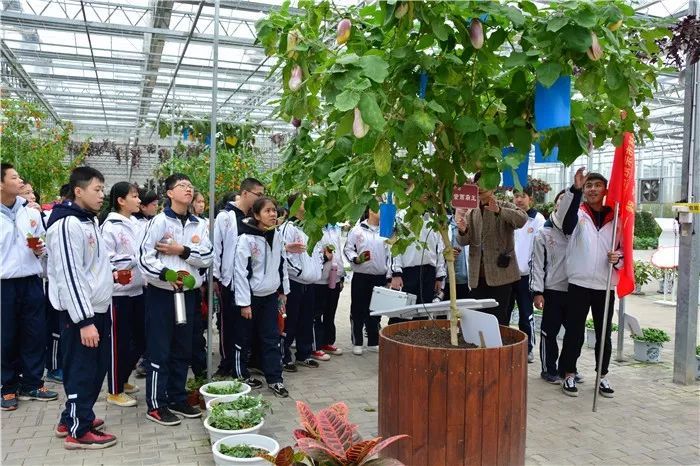 学术农业活动包括哪些_农学活动有什么_农业学术活动