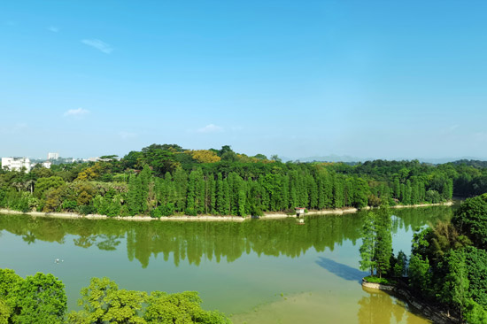 风景秀丽的植物园区