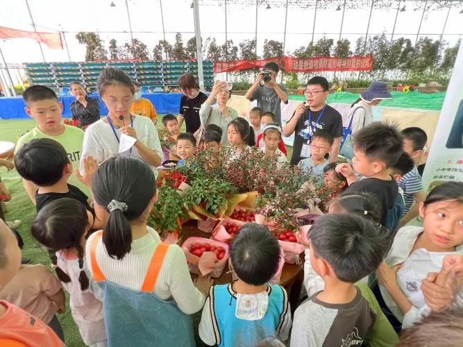 科普农业活动主题_农业科普活动_农业科普展示内容