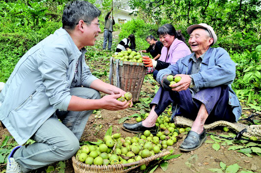 农业研究成果_农业科研项目_农业科研成果