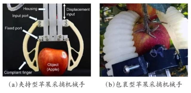 农业科普活动_农业科普动态_农业科普展示内容