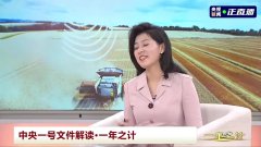 央视频中国三农报道一年之计2024年解读