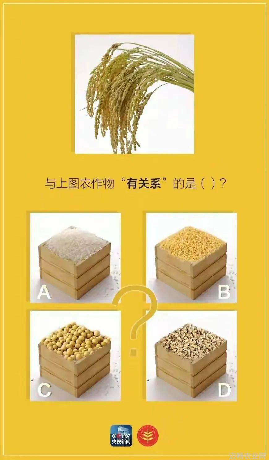 农业科普活动_农业科普展示内容_科普农业活动主题