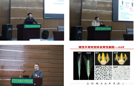 农业学术交流_农业学术会议_学术农业交流发言稿