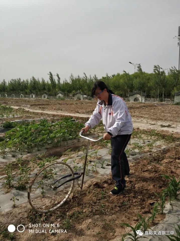 农业科普展示内容_农业科普知识宣传_农业科普动态