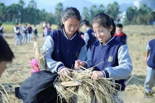 农业科普知识宣传材料_农业科普展示内容_农业科普活动