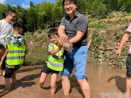 农业科普讲座_农业科普活动_农业科普知识宣传