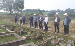 副县长大摇大摆地调研中国科学院土豪斗士带着