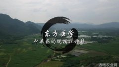 东方医学中草药的规模化种植