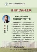 创造高产半矮秆小麦倪中福教授的BR和GA激素平衡