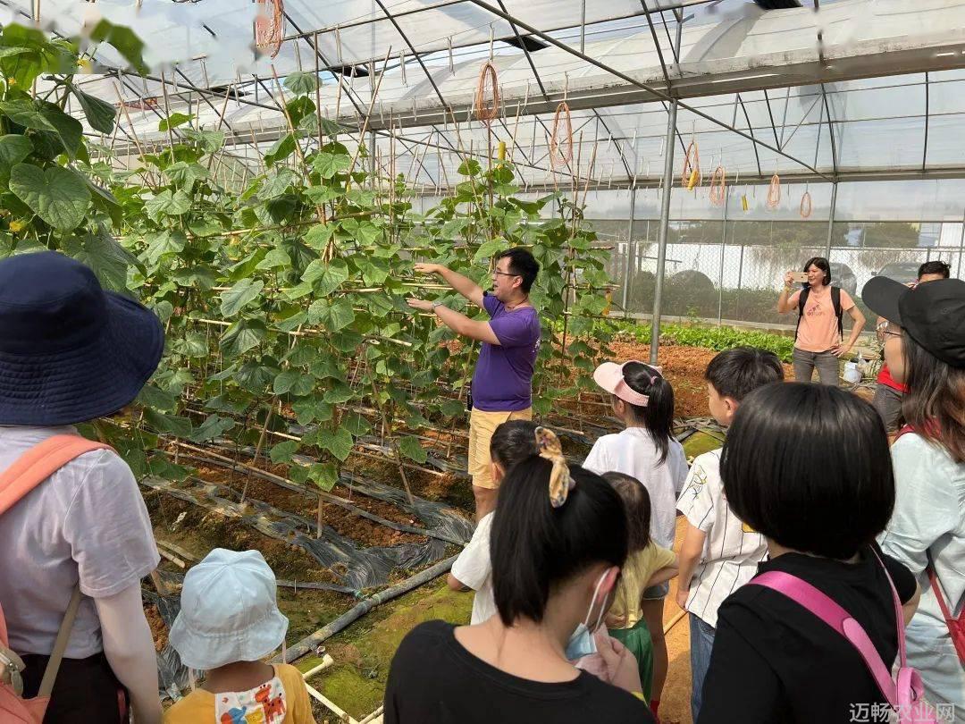 农业科普知识宣传材料_农业科普活动_关于农业科普知识的活动