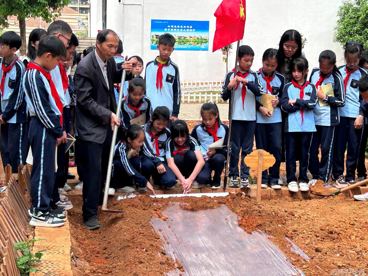 唐小付给学生示范如何种植西瓜苗。