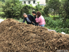 抢时播种服务增效我院专家到田间解决农民燃眉