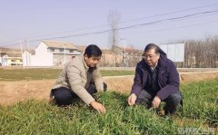 新京报 断崖式降温粮食和蔬菜如何应对