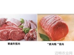 中国科学院带农业生态研究所揭秘瘦肉精真相