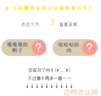 农业科普讲座_农业科普活动_农业科普知识宣传