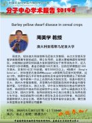 周美学 Barley yellow dwarf disease in cereal crops分子中