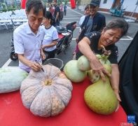 金秋山乡传统习俗迎丰收