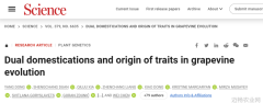 我国科学家牵头揭示葡萄起源与驯化问题