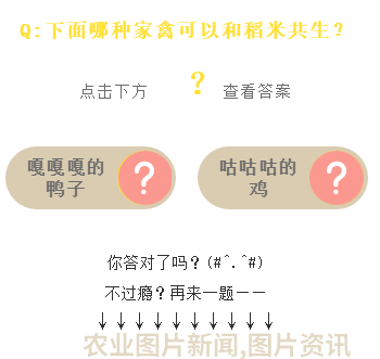 农业科普讲座_农业科普活动_农业科普知识宣传