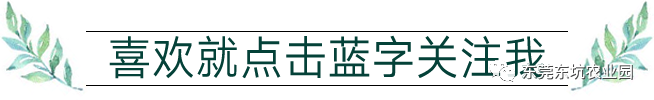 农业科普动态_农业科普展示内容_农业科普宣传栏