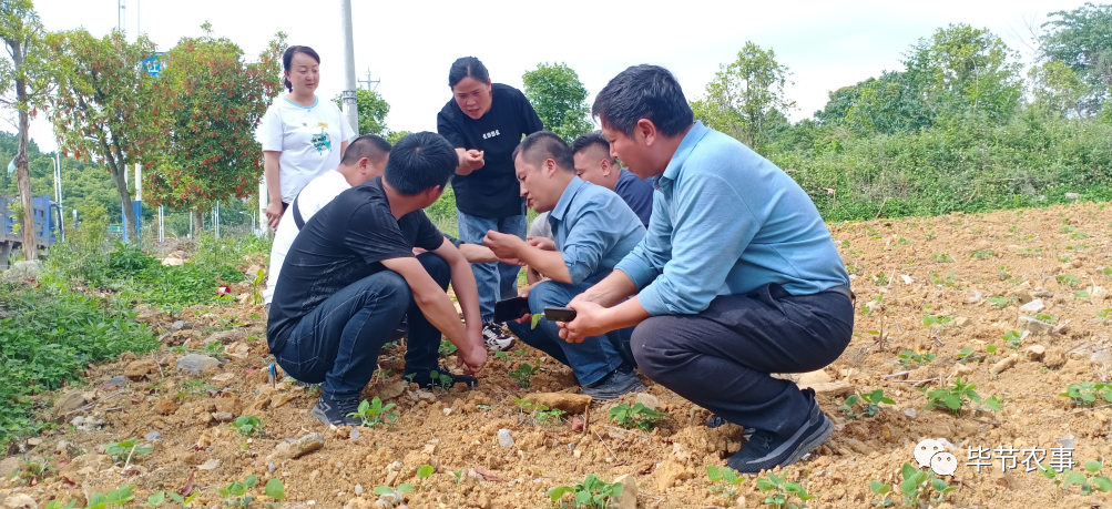 农业科普动态_农业科普活动_农业科普知识宣传