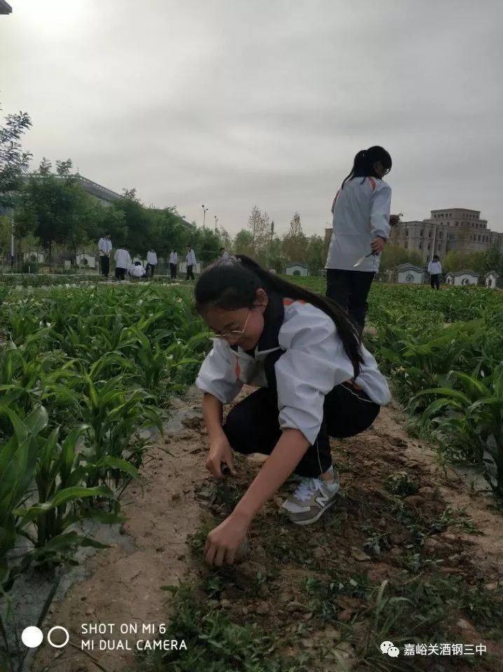 农业科普动态_农业科普知识宣传_农业科普展示内容