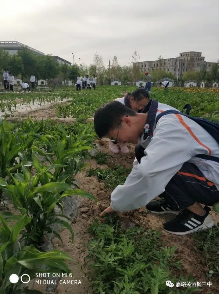 农业科普动态_农业科普知识宣传_农业科普展示内容